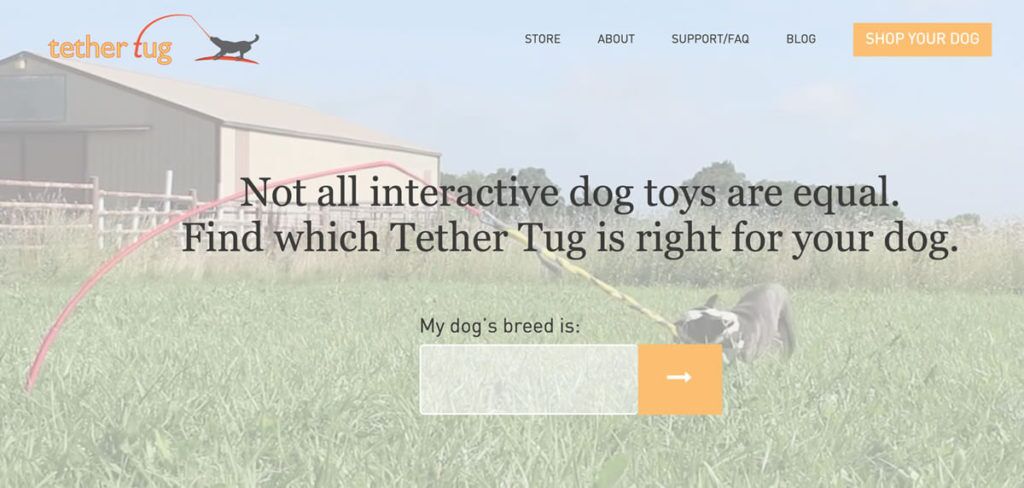 Tether tug best sale for dogs