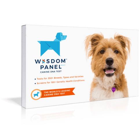 Test ADN pour chiens Wisdom Panel 3.0 - Sherbrooke Canin