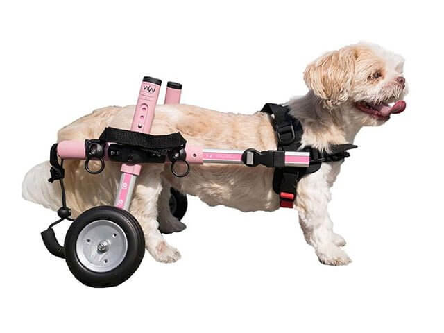 Disabled Dog Products Handicapped Pet Supplies Wheelchairs